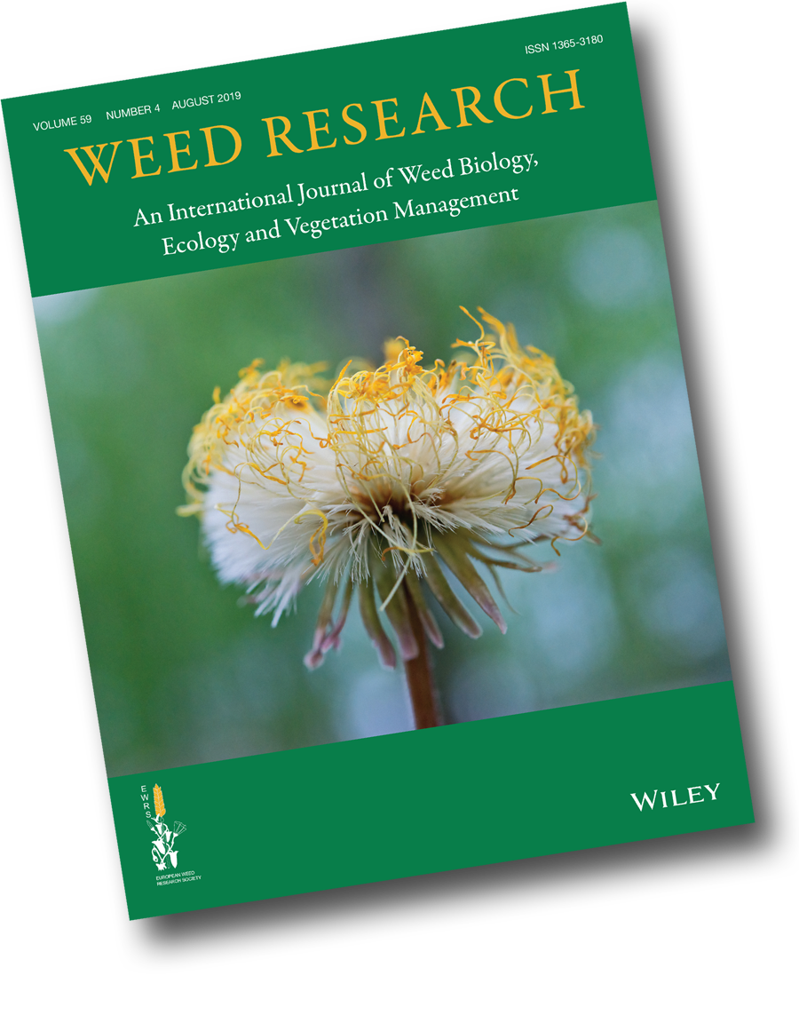 new research on weed